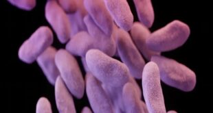 أجسامنا لا تنسى.. حبة مضاد حيوي تترك أثرها لسنوات طويلة