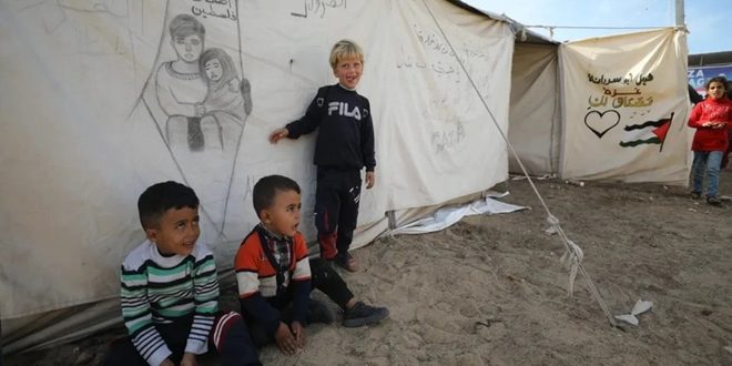 مواليد الإبادة في غزة.. هل الخيمة هي العالم؟